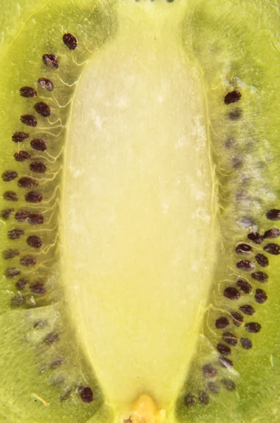 Kiwi achtergrond — Stockfoto