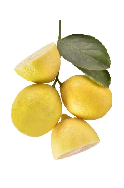 Citroner på en vit bakgrund — Stockfoto