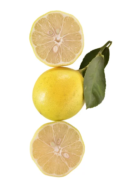 Lemon pada latar belakang putih — Stok Foto