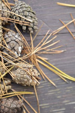 Masanın üzerine çarpmak