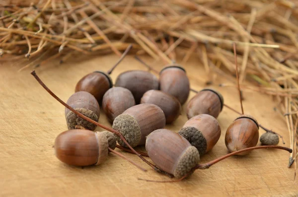 Acorns on a wooden background — Stock Photo, Image