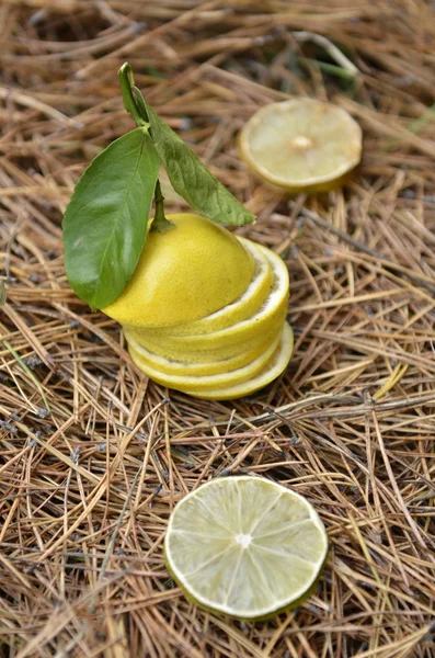 レモンの自然な背景 — ストック写真