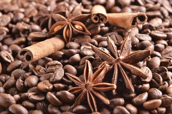 Coffee, chocolate and spices — Stock Photo, Image