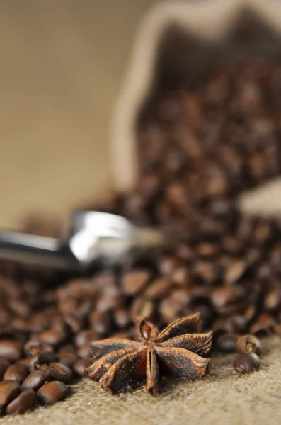 Café, chocolate e especiarias — Fotografia de Stock