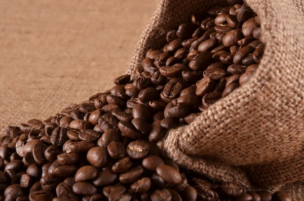 Kahve, çikolata ve baharatlar — Stok fotoğraf