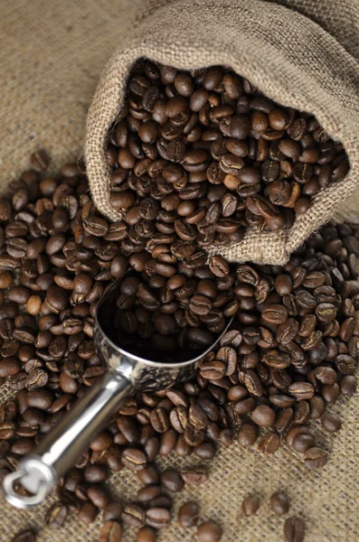 Kahve, çikolata ve baharatlar — Stok fotoğraf