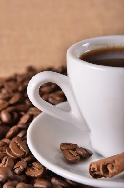 Kaffe, choklad och kryddor — Stockfoto