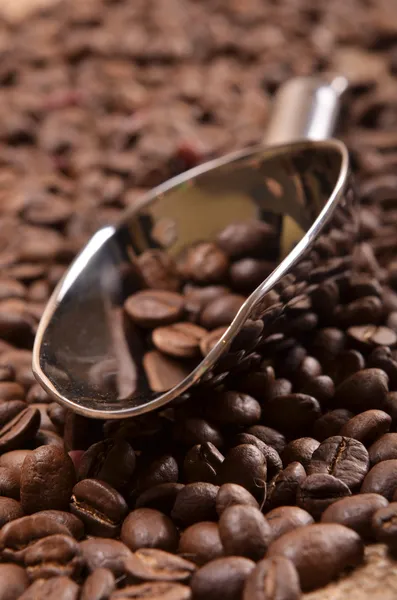 Coffee and scoop — Stock Photo, Image