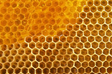 Bal Tarağı Arkaplanı