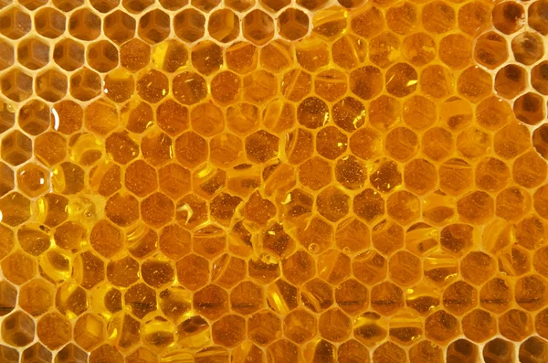 Méhsejt háttér — Stock Fotó