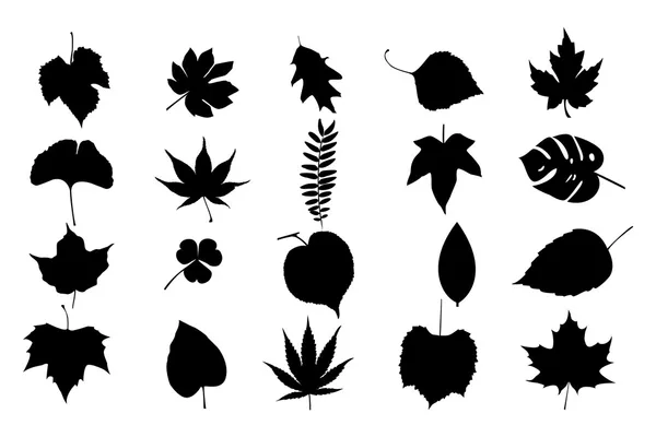 Leafs Vector Set Royalty Free Stock Illustrations