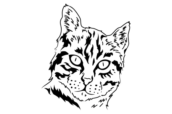 Vector tribal de gato — Vector de stock