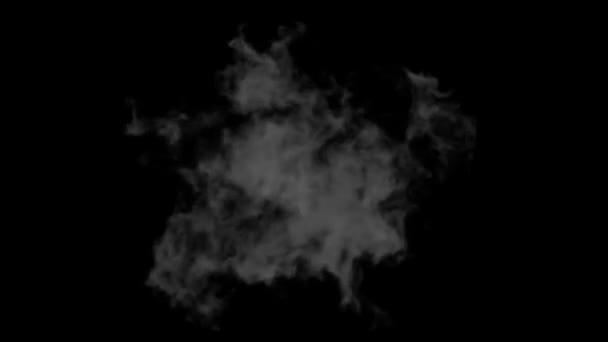 Explosie op zwart. 2 versies - met en zonder flits. alpha masker. HD 1080. — Stockvideo