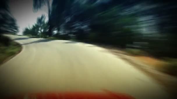 Time Lapse Road Conduite. HD 1080. Animation en boucle. Flou de mouvement . — Video