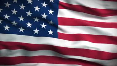 Birleşik Devletler Bayrağı