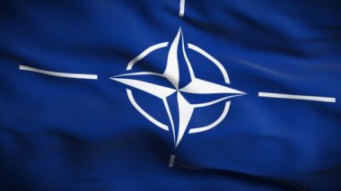 Kuzey Atlantik Antlaşması Örgütü bayrağı hd. ilmekledi.