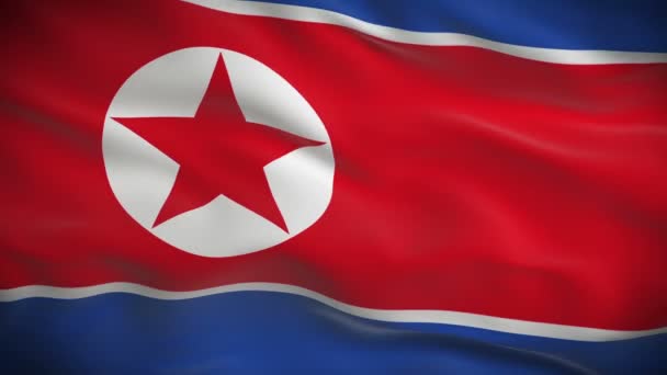 Nordkoreas flagga — Stockvideo