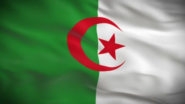 Bandiera dell'Algeria — Video Stock