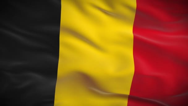 Bandera de Belgium — Vídeo de stock