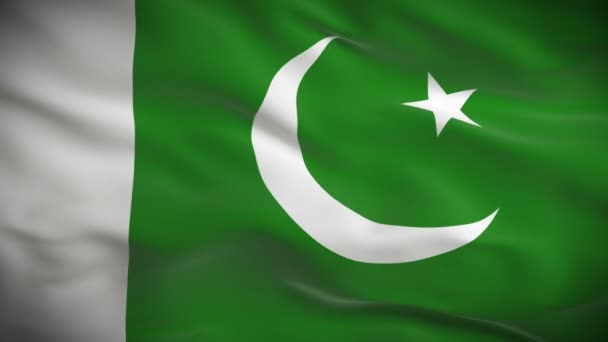 Bandera de Pakistan — Vídeos de Stock