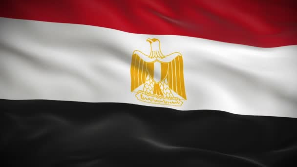 Flagge Ägyptens — Stockvideo