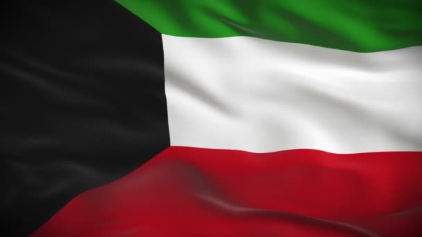 Bandeira do Kuwait — Vídeo de Stock