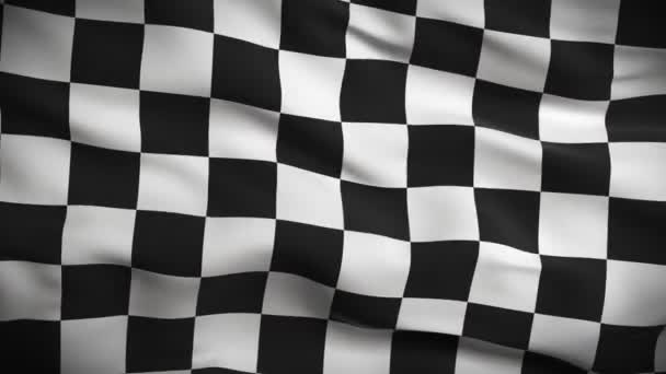 Checkered Flag — Stock Video