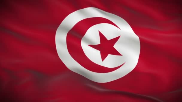 突尼斯的旗子 — 图库视频影像