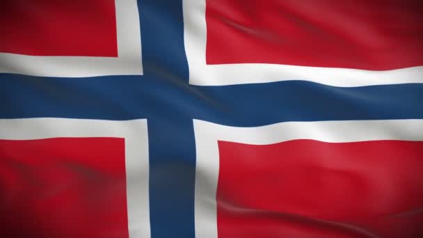 Bandera de Noruega — Vídeo de stock