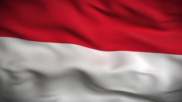 Flag of Indonesia — Stock Video