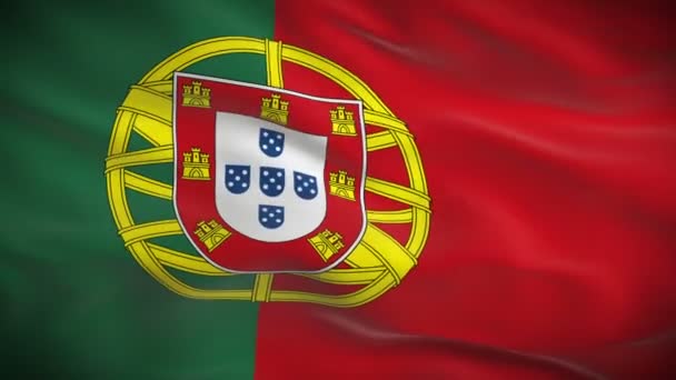 Portugal flagga — Stockvideo