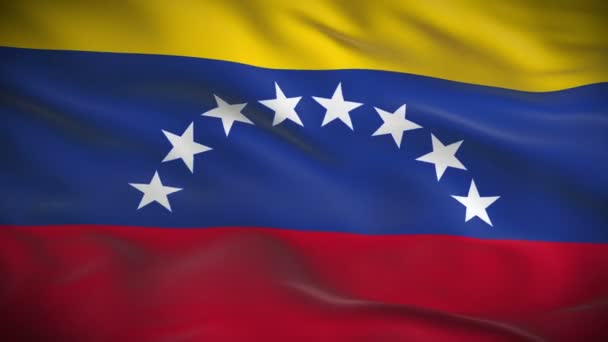 Bandera de venezuela — Vídeo de stock