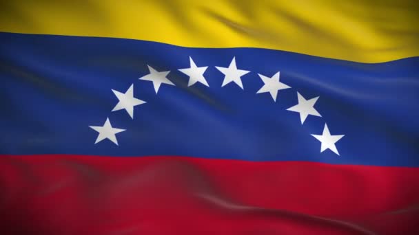 Venezuelas flag – Stock-video