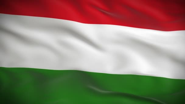 Bandera de Hungría — Vídeo de stock