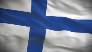 Finlandiya bayrağı