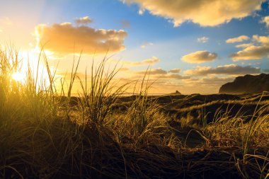 karekare beach, Yeni Zelanda