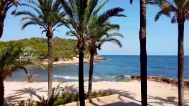 İspanya 'nın İbiza kentindeki güzel kumlu plajların hızlandırılmış görüntüleri, İspanyol kasabasında sahil kenarındaki palmiye ağaçlarının 5 saatten fazla sürdüğünü gösteriyor.