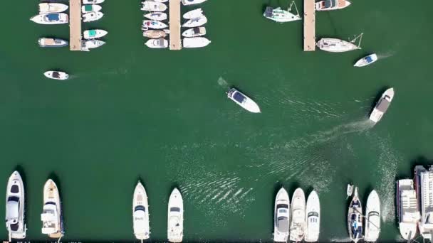 スペインのイビザ島の美しい島の空中映像は 明るい晴れた夏の日にサンタ エウラリア リウの海の地中海の海にボートで港エリアを示すバレアレス諸島 — ストック動画