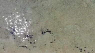 Aerial footage of the beautiful small town known as St George South in the city of Corfu Greece, showing the beautiful ocean coastal front with the drone going straight up on the Agios Georgios Beach