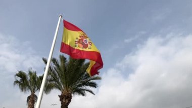 Slow motion Spain Spanish flag flying in the wind with a palm tree clouds and birds in the background, Europe footage spanish flag