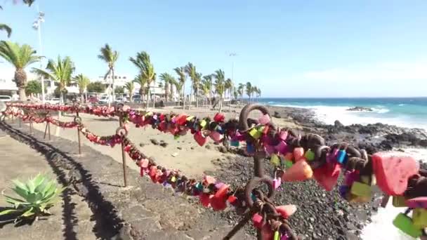Love Locks Palm Trees Blowing Beach Windy Day Close Sand — Video Stock