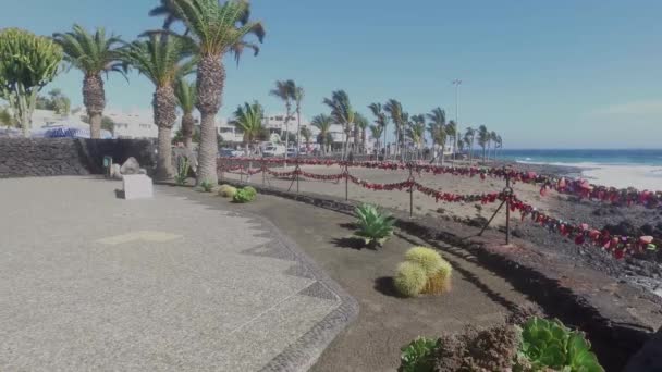 Love Locks Palm Trees Blowing Beach Windy Day Close Sand — Vídeo de Stock