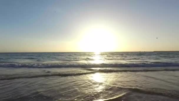 Beautiful Sunset Golden Sandy Beach City Agadir Morocco Showing Waves — 图库视频影像
