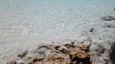 Okyanustaki temiz su görüntüsü kayalara çarpıyor..