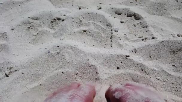Мани Грають Піском Піщаному Пляжі Під Час Сімейних Канікул Біля — стокове відео