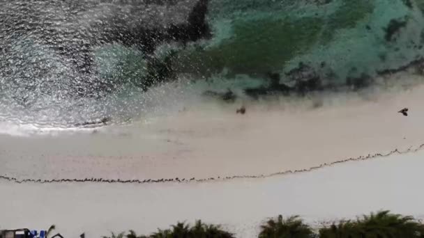 美しい熱帯のビーチの空中映像リトル スタールップ バハマは ナッソーのベリー諸島の1つで 砂浜と男性がビーチを歩いているのを示しています — ストック動画