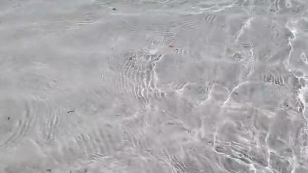 海における澄んだ水のゆっくりとした動き — ストック動画
