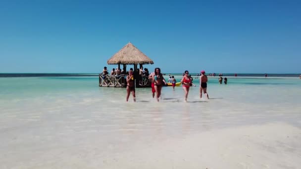 Cococay Bahamy Kwietnia 2019 Piękna Plaża Tropikalna Little Stirrup Cay — Wideo stockowe