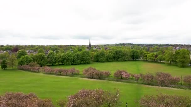 Drone Aeriene Vizualizare Imagini Frumosii Copaci Înfloriți Timpul Primăverii Filmate — Videoclip de stoc