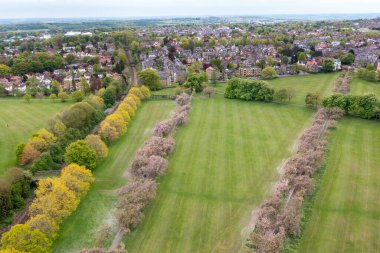 Aerial drone view of beautiful blossom trees in the spring time in the town of Harrogate, North Yorkshire UK showing the trees and freshly cut grass.